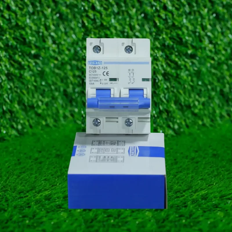 Tomzn 2P DC Circuit Breaker 100A 125A front view